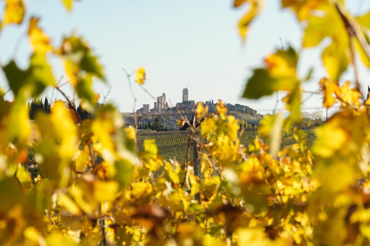 Locanda Dei Logi San Gimignano Buitenkant foto